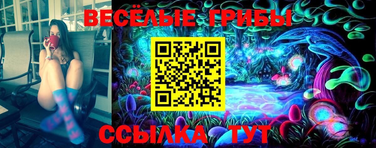 Псилоцибиновые грибы ЛСД Приморско-Ахтарск