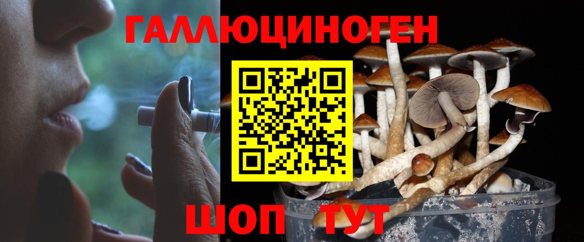 купить закладку  Псилоцибиновые грибы Psilocybe  Вход с VPN  Псилоцибиновые грибы мухоморы  Приморско-Ахтарск 