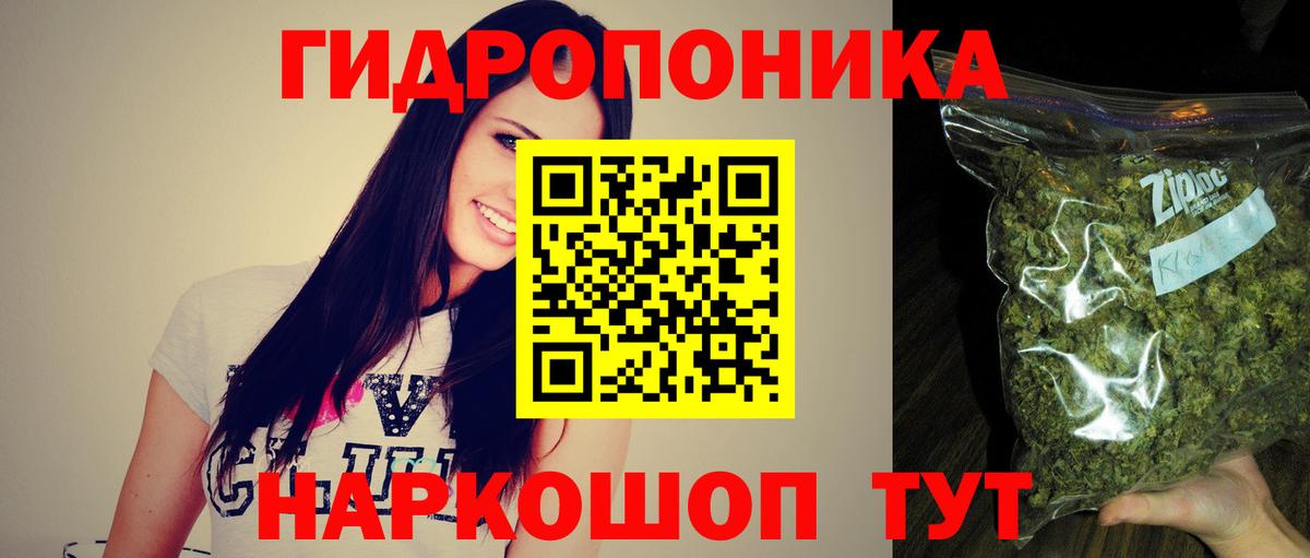 Марихуана OG Kush Приморско-Ахтарск